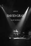 David Gray – Live In Slow Motion