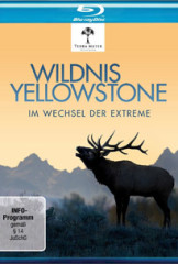 Wildnis Yellowstone